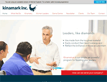 Tablet Screenshot of kinamark.com